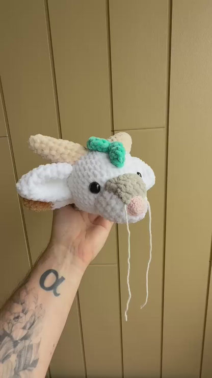 Haku – Forme Dragon 🐉